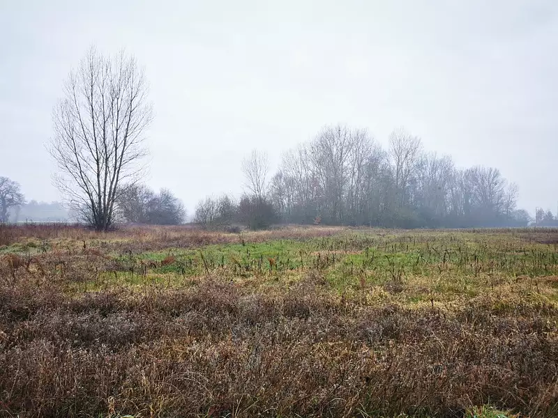 Terrain à bâtir, 735 m² - Viterbe (81220)