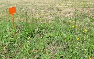 Maison neuve, 63 m²