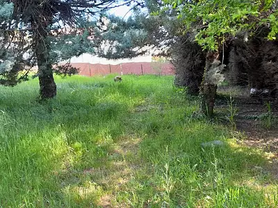 Maison neuve, 145 m²