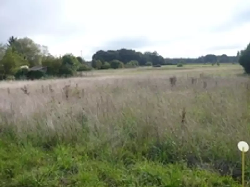 Maison neuve, 100 m² - Girolles (45120)
