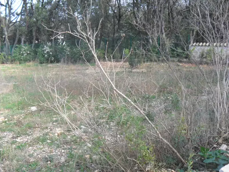 Terrain à bâtir, 1 000 m² - Cruviers-Lascours (30360)