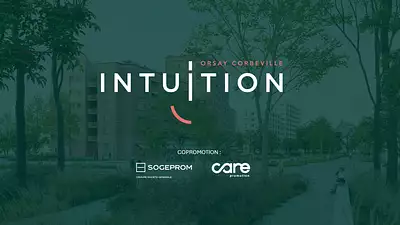 Intuition