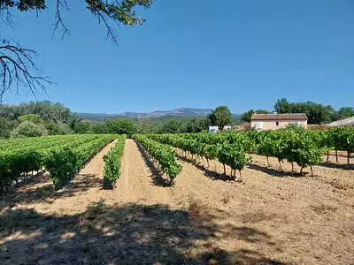 Terrain à bâtir, 544 m²