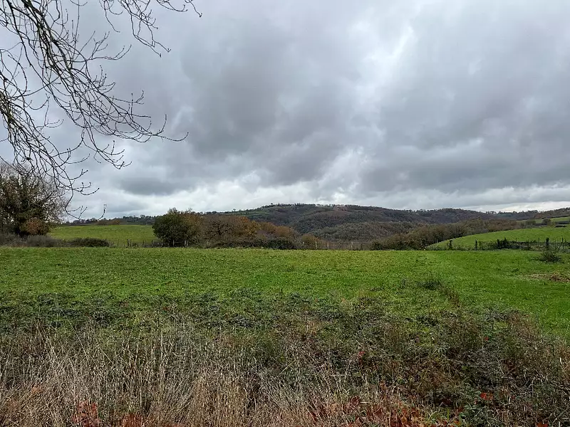 Terrain à bâtir, 1 200 m² - Pampelonne (81190)