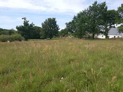 Terrain à bâtir, 240 m²