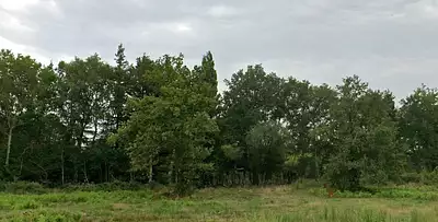 Terrain à bâtir, 873 m²