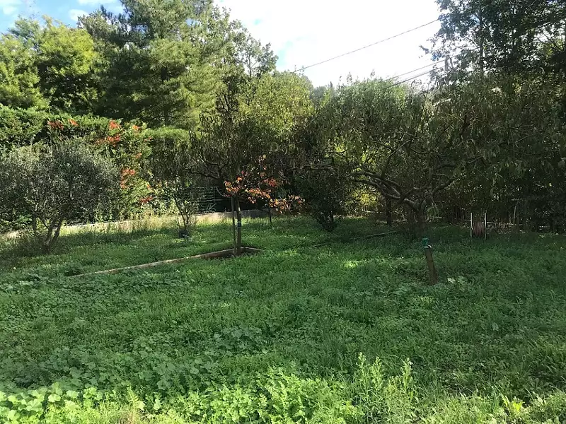 Maison neuve, 75 m² - La Garde (83130)