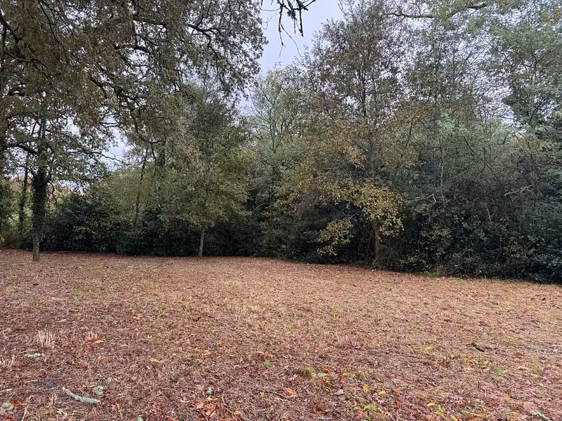 Terrain à bâtir, 1 163 m² - Louchats (33125)