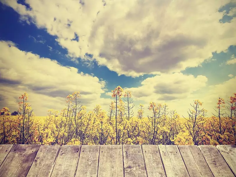 Terrain à bâtir, 695 m² - Gujan-Mestras (33470)