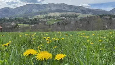Maison neuve, 75 m²