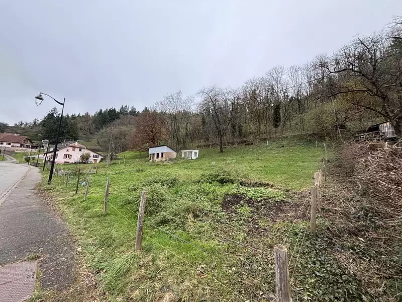 Maison neuve - Lièpvre (68660)