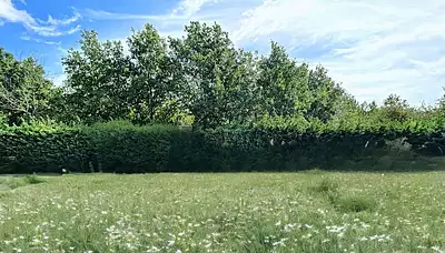 Terrain à bâtir, 808 m²