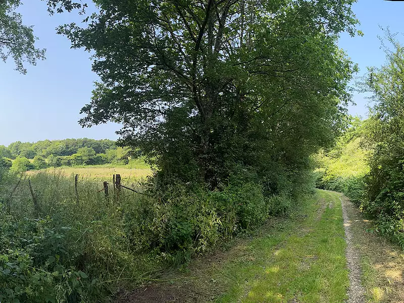 le Clos des Lys (La Paquelais) - Vigneux-de-Bretagne (44360)