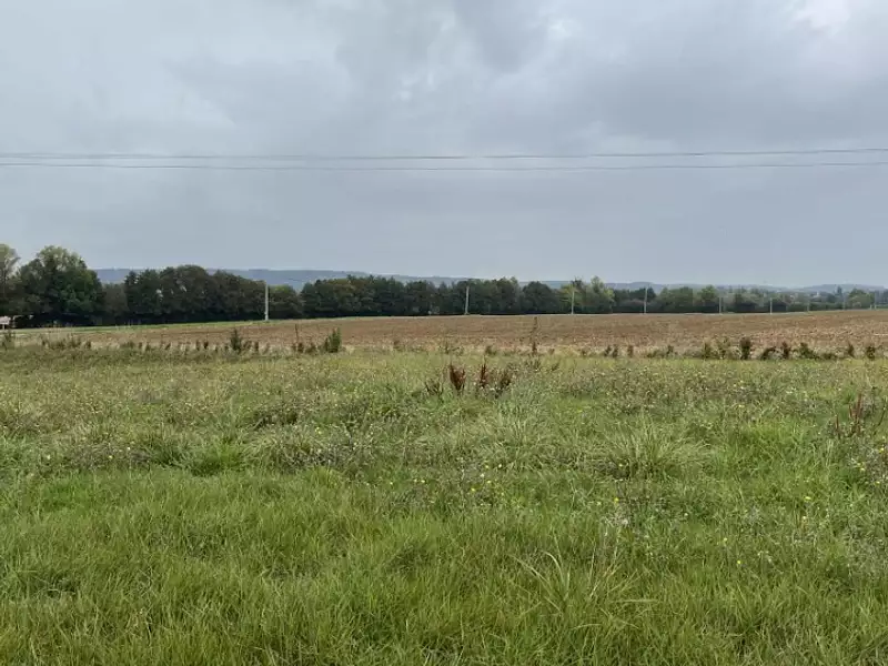 Terrain à bâtir, 431 m² - Valframbert (61250)