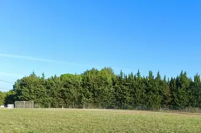 Terrain à bâtir, 1 500 m²