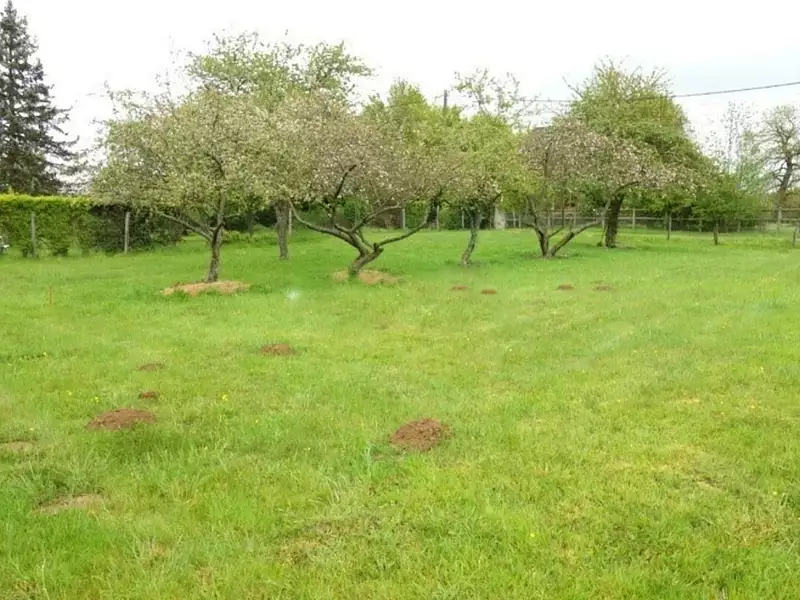 Maison neuve, 155 m² - Carrières-sur-Seine (78420)