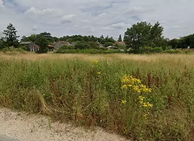 Maison neuve, 98 m²