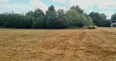 Terrain à bâtir, 608 m²