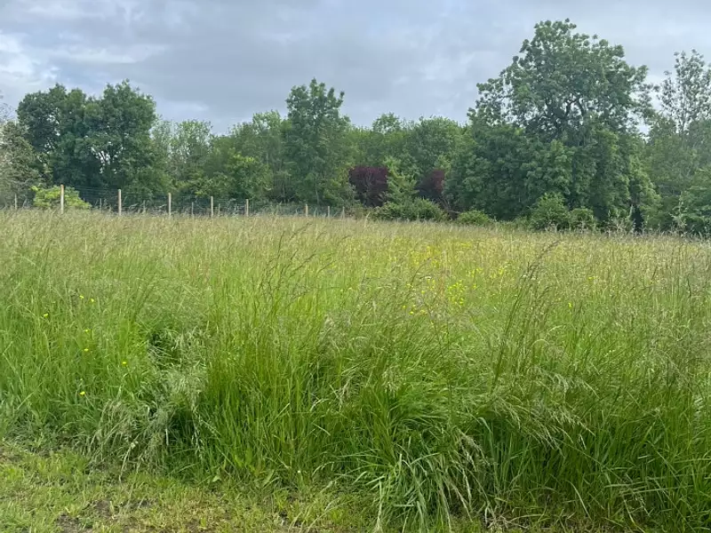 Terrain à bâtir, 1 100 m² - Reignac (33860)