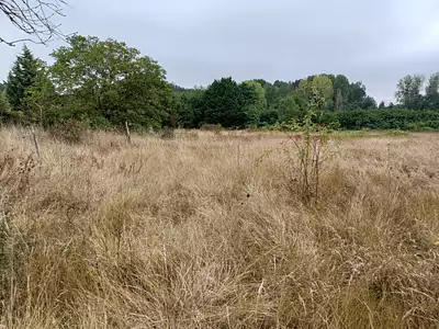 Terrain à bâtir, 444 m²