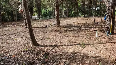 Terrain à bâtir, 440 m²