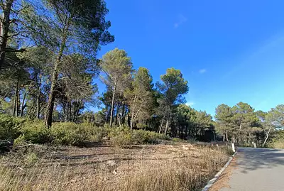 Maison neuve, 75 m²