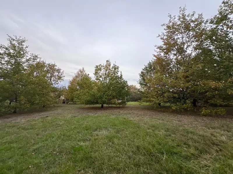 Terrain à bâtir, 1 266 m² - Saint-Loup-Cammas (31140)