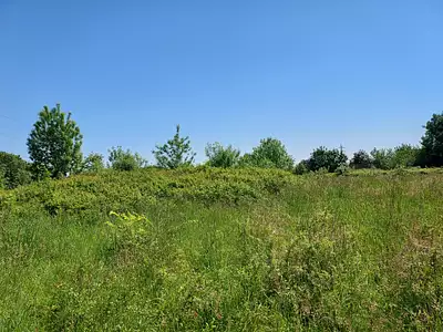 Maison neuve, 98 m²