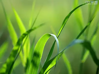 Maison neuve, 117 m²