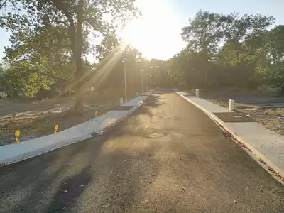 Maison neuve, 80 m²