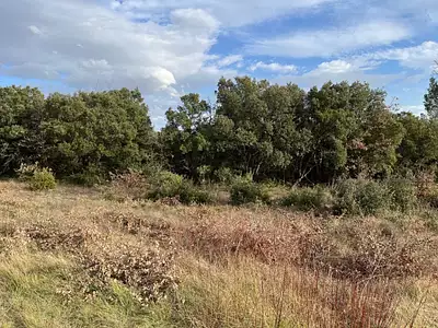 Terrain à bâtir, 750 m²