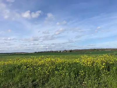 Maison neuve, 84 m²