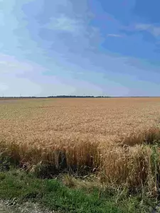 Maison neuve, 63 m²