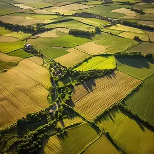 Terrain à bâtir, 369 m²