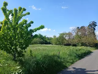 Terrain à bâtir, 927 m²