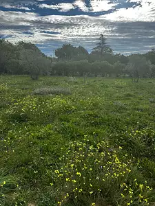 Terrain à bâtir, 720 m²