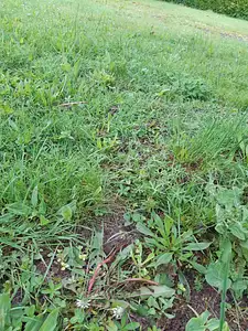 Maison neuve, 85 m²