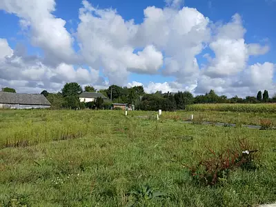 Terrain à bâtir, 800 m²