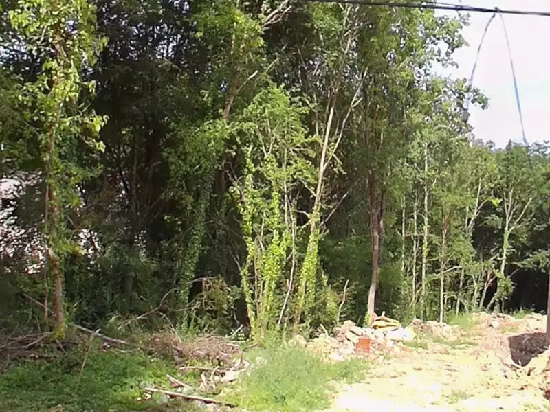 Terrain à bâtir, 1 004 m² - Tigeaux (77163)