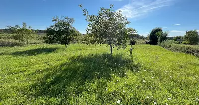 Terrain à bâtir, 1 221 m²