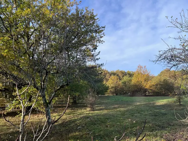 Terrain à bâtir, 1 260 m² - Lapeyrouse-Fossat (31180)