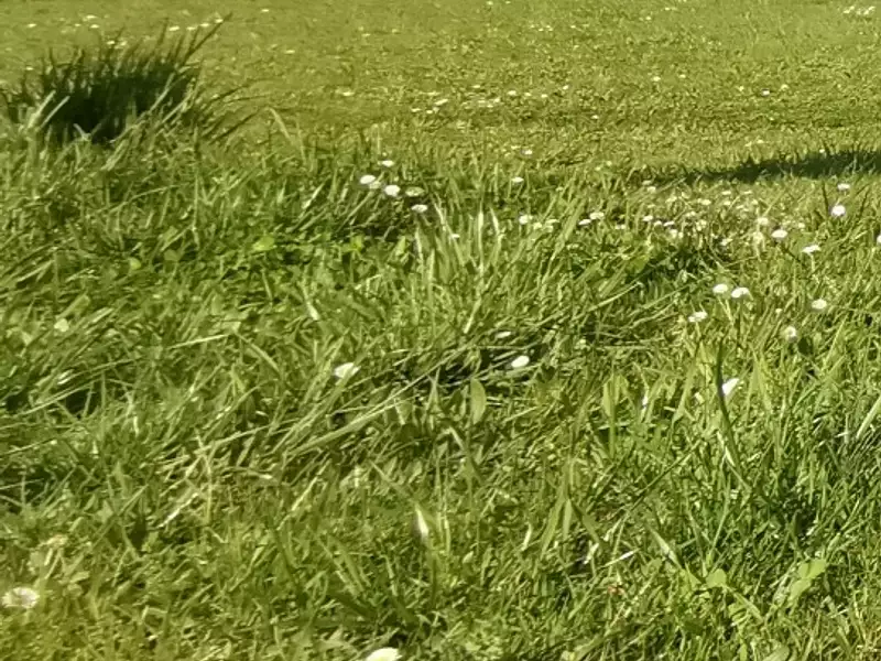 Terrain à bâtir, 1 100 m² - Antonne-et-Trigonant (24420)