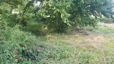 Maison neuve, 100 m²