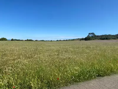 Terrain à bâtir, 690 m²