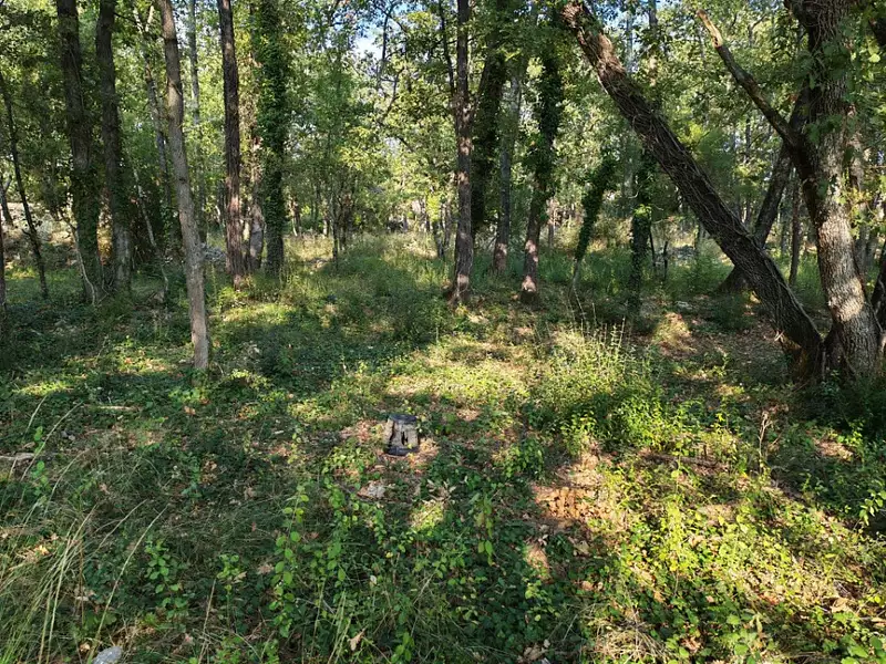 Terrain à bâtir, 717 m² - Trans-en-Provence (83720)