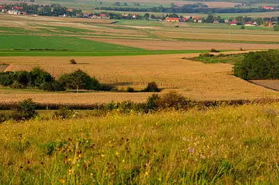 Terrain à bâtir, 1 770 m²