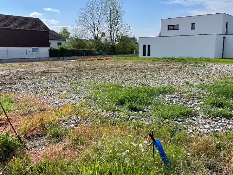 Maison neuve, 120 m² - Bantzenheim (68490)