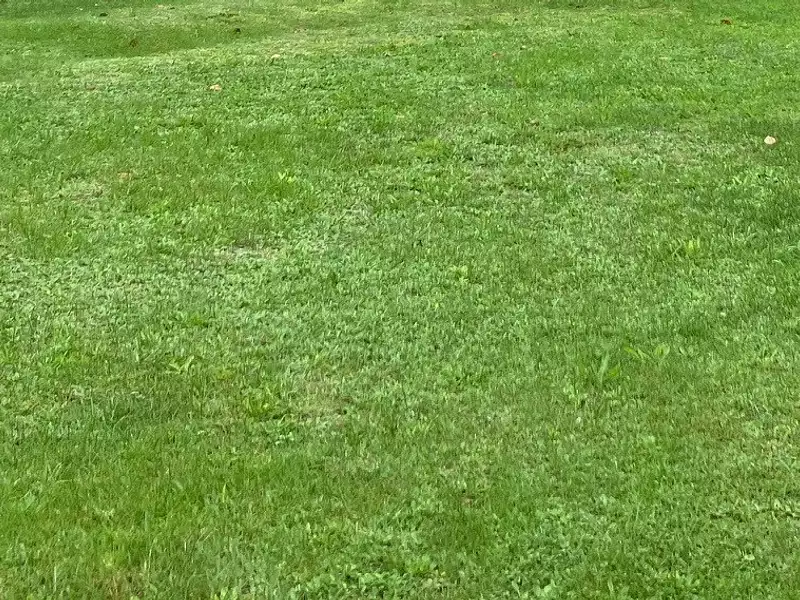 Terrain à bâtir, 920 m² - Saintes (17100)