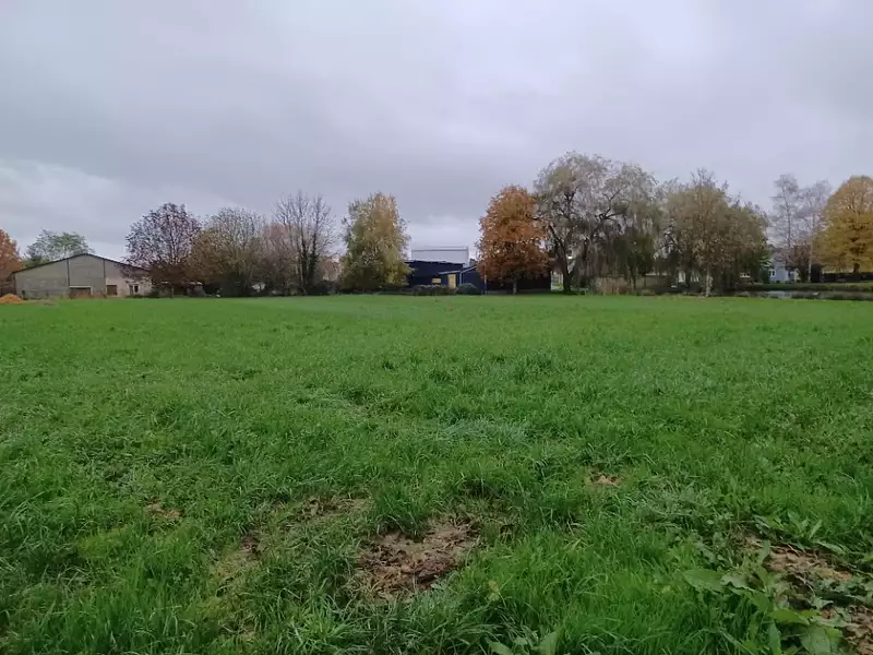 Maison neuve, 100 m² - Courgains (72260)