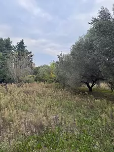 Terrain à bâtir, 1 158 m²